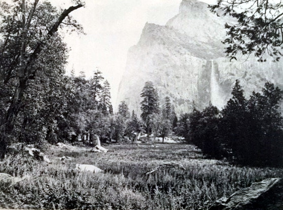 An old Carleton Watkins of Yosemite Valley,