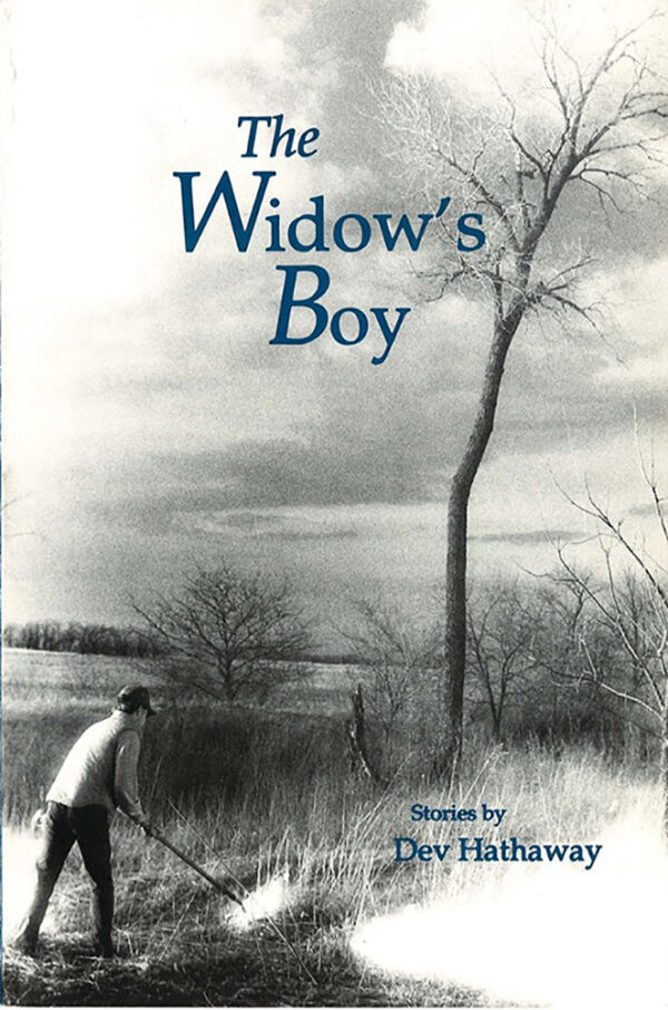 The Widow's Boy cover image