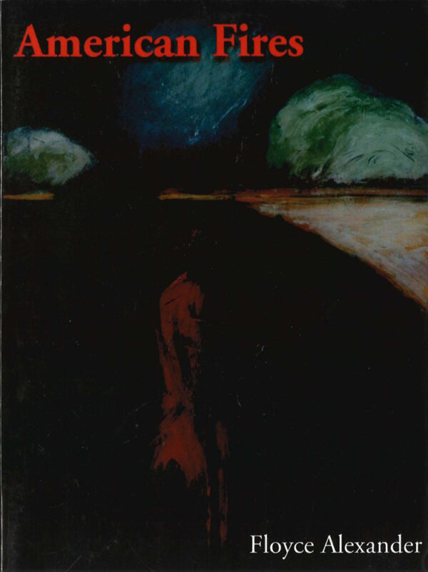 American Fires cover image