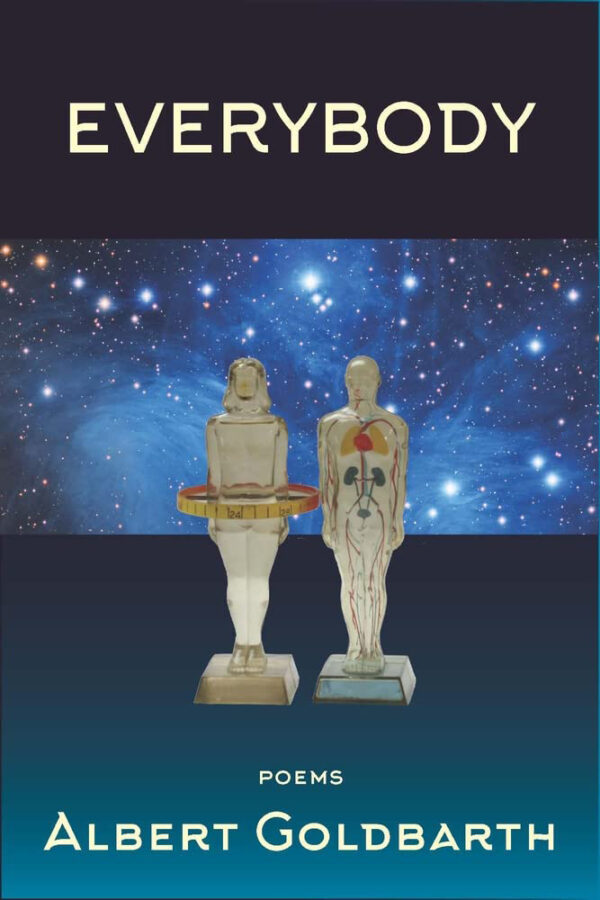 Everybody cover image