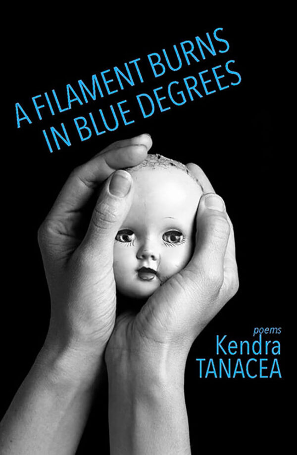 A Filament Burns in Blue Degrees cover image