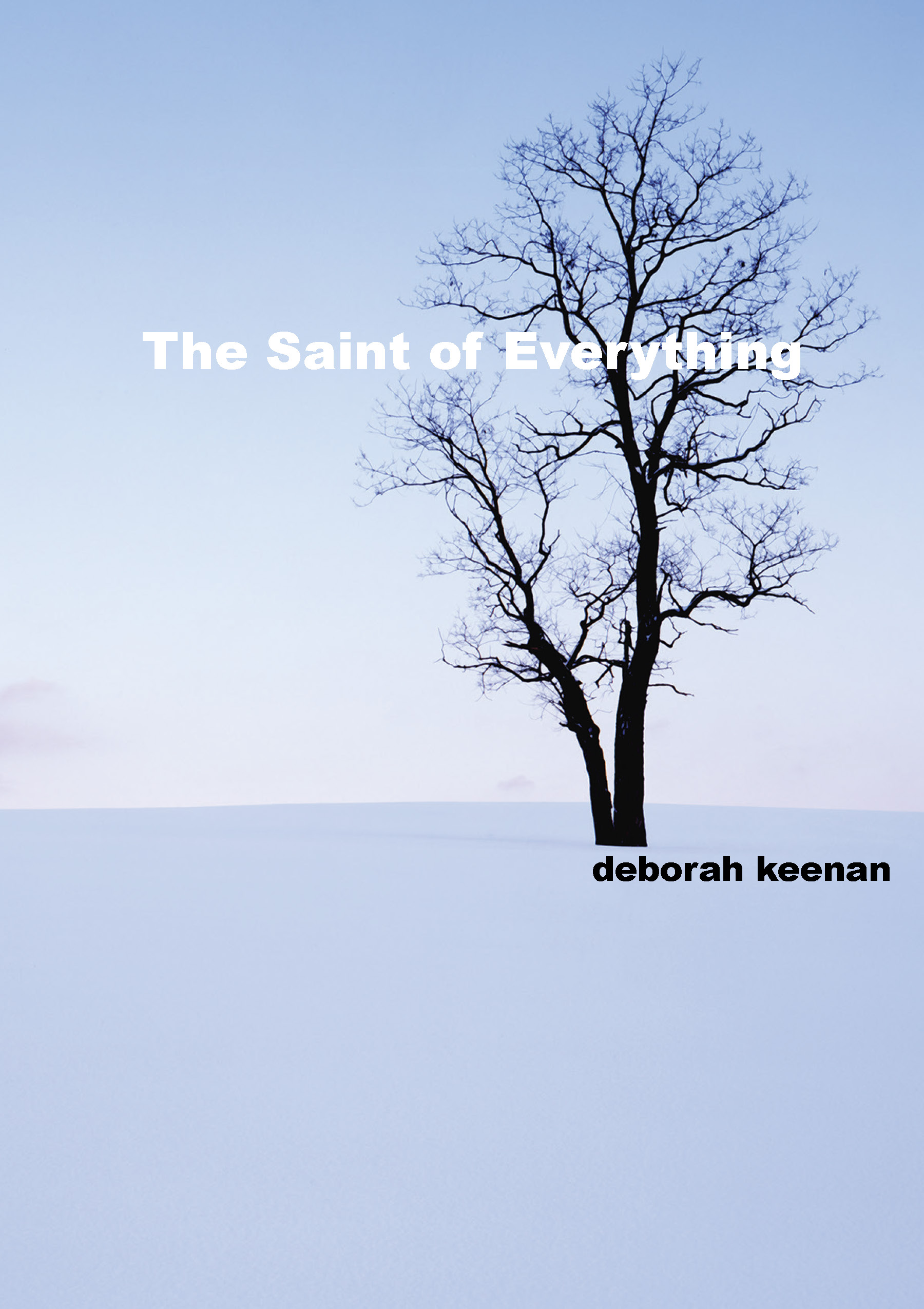 The Saint of Everything cover