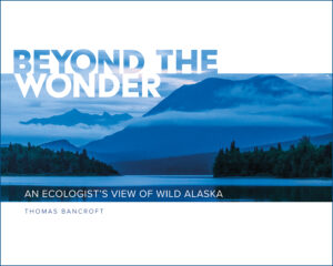 Beyond the Wonder cover image