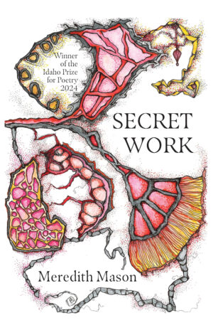 Secret Work cover