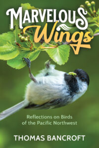 Cover of Marvelous Wings