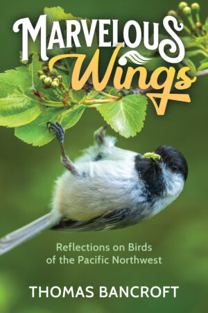 Cover of Marvelous Wings