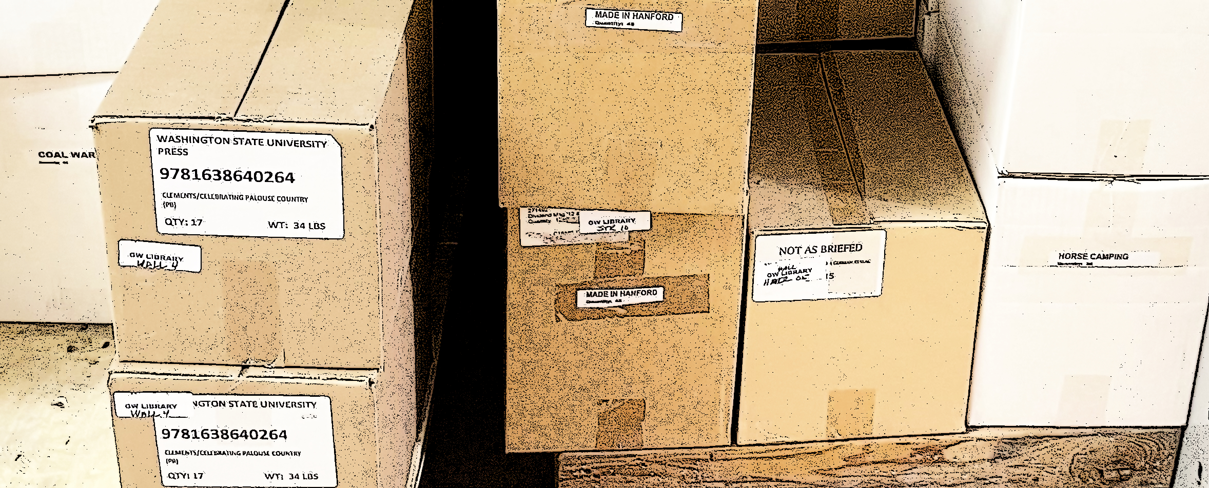 Cardboard boxes in a warehouse